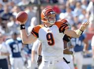 Cincinnati Bengals” Logo History